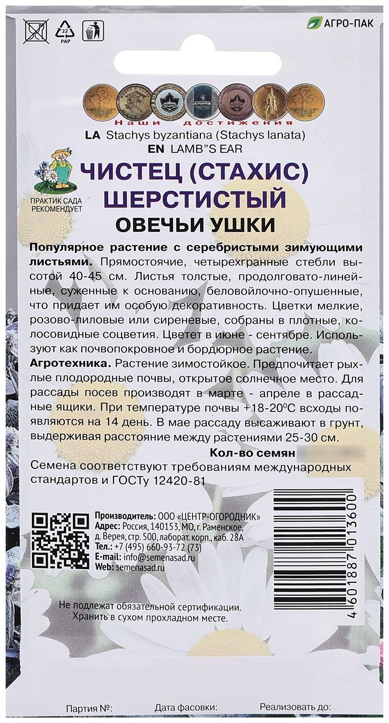 Семена цветов Чистец шерстистый 