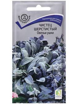 Семена цветов Чистец шерстистый 