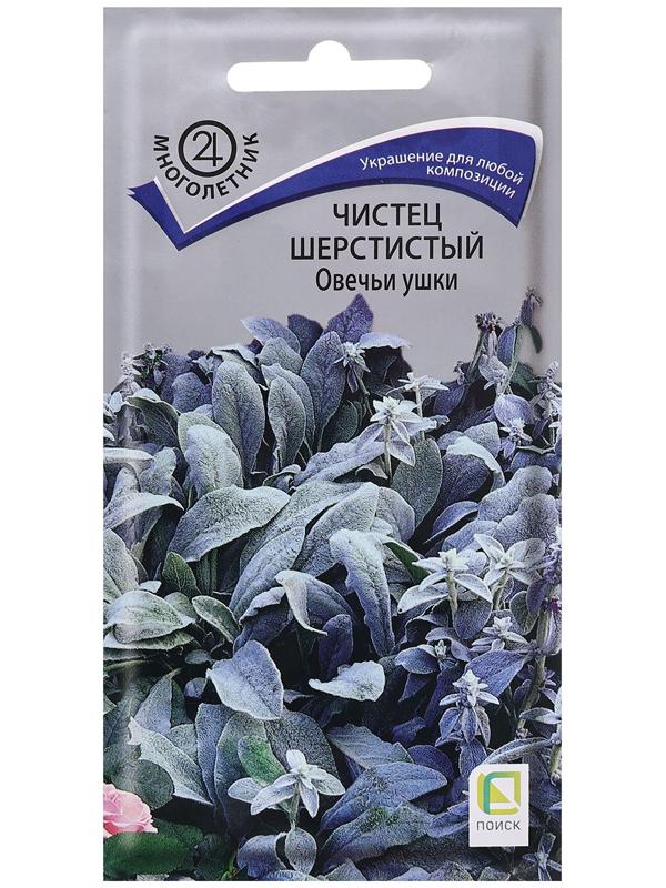 Семена цветов Чистец шерстистый 