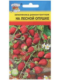 Семена Земляника 