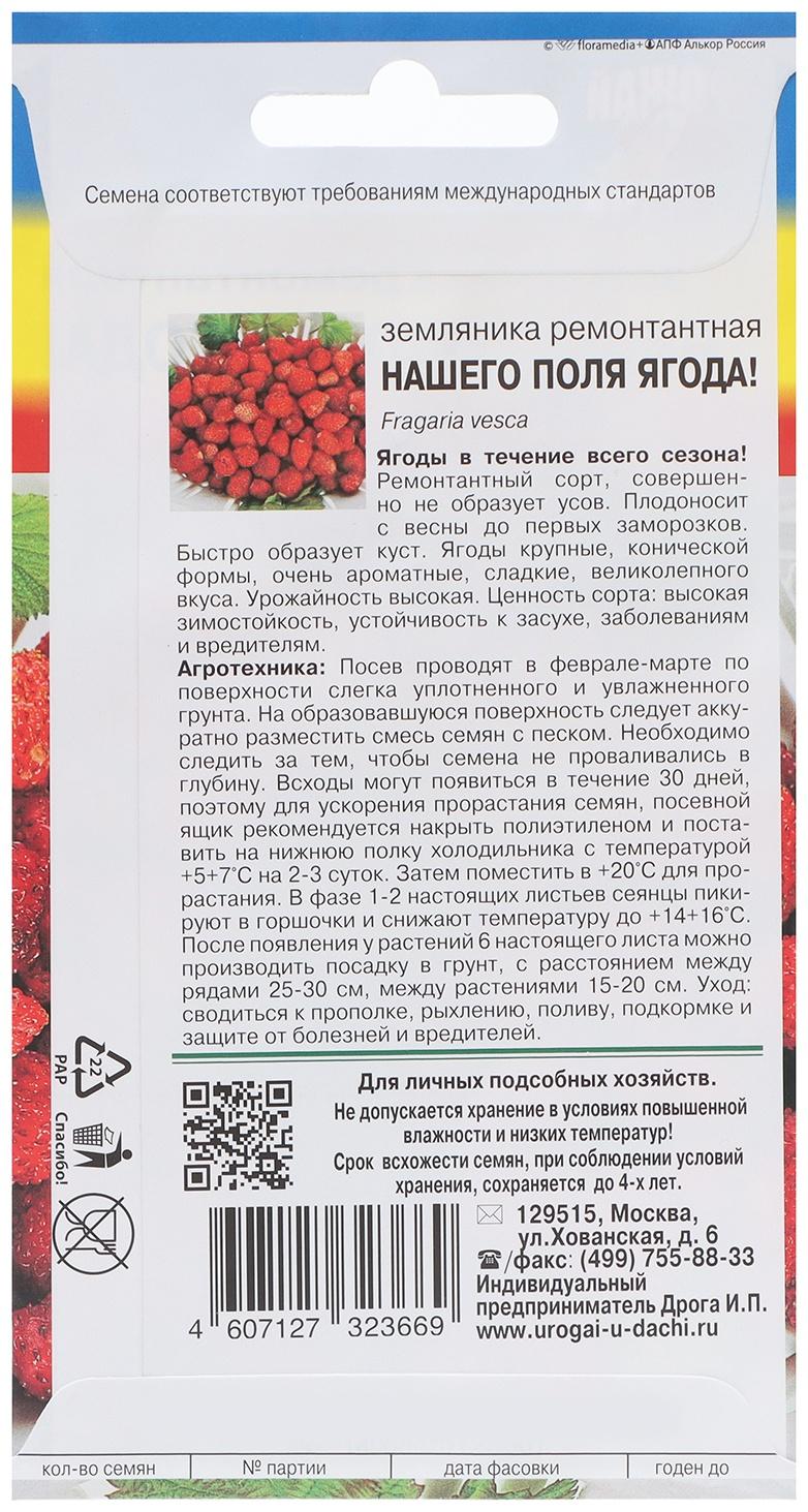 Семена Земляника 