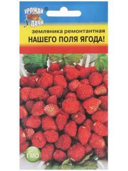 Семена Земляника 