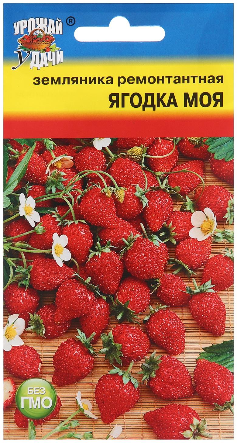 Семена Земляника 