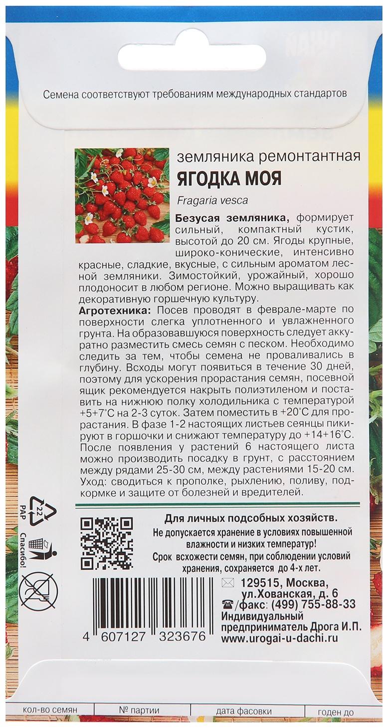 Семена Земляника 