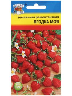 Семена Земляника 