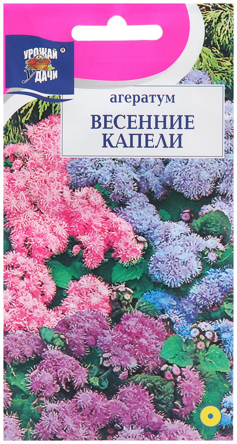 Семена цветов Агератум 