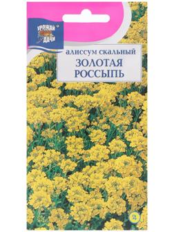 Семена цветов Алиссум 