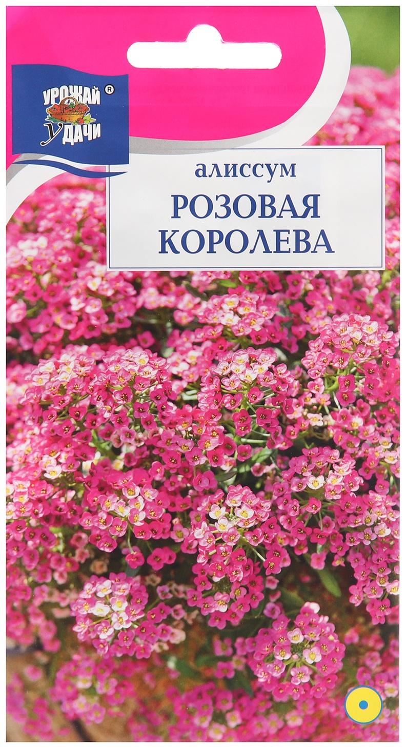 Семена цветов Алиссум 