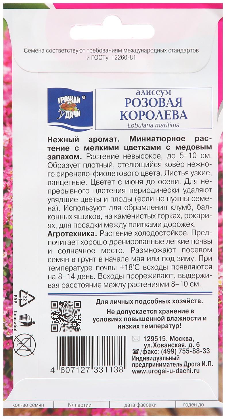 Семена цветов Алиссум 