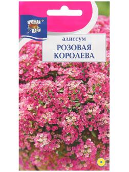 Семена цветов Алиссум 