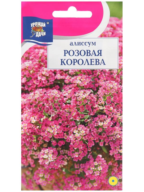 Семена цветов Алиссум 