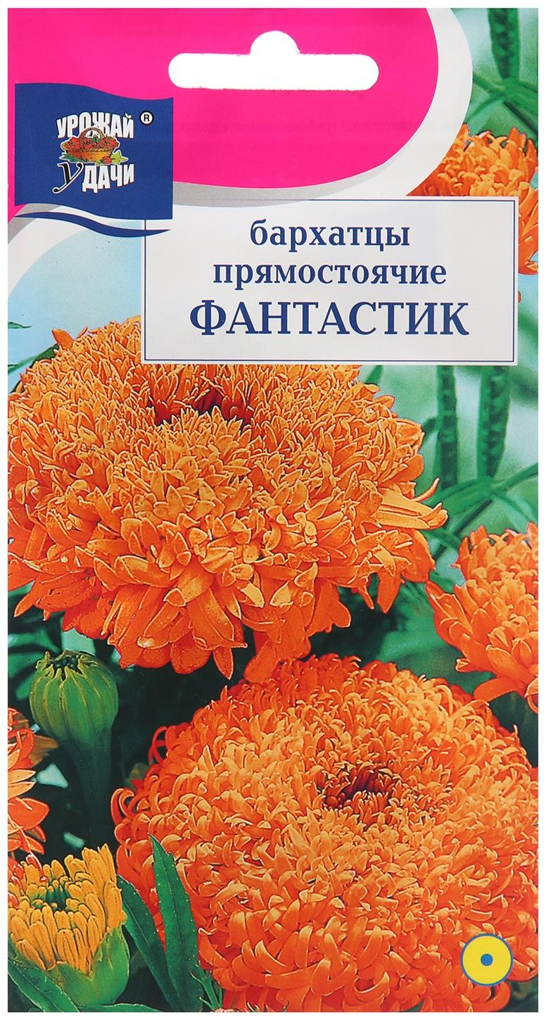 Семена цветов Бархатцы прямостоячие 