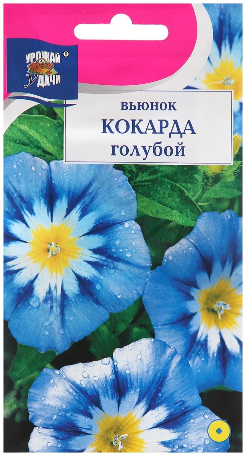 Семена цветов Вьюнок 