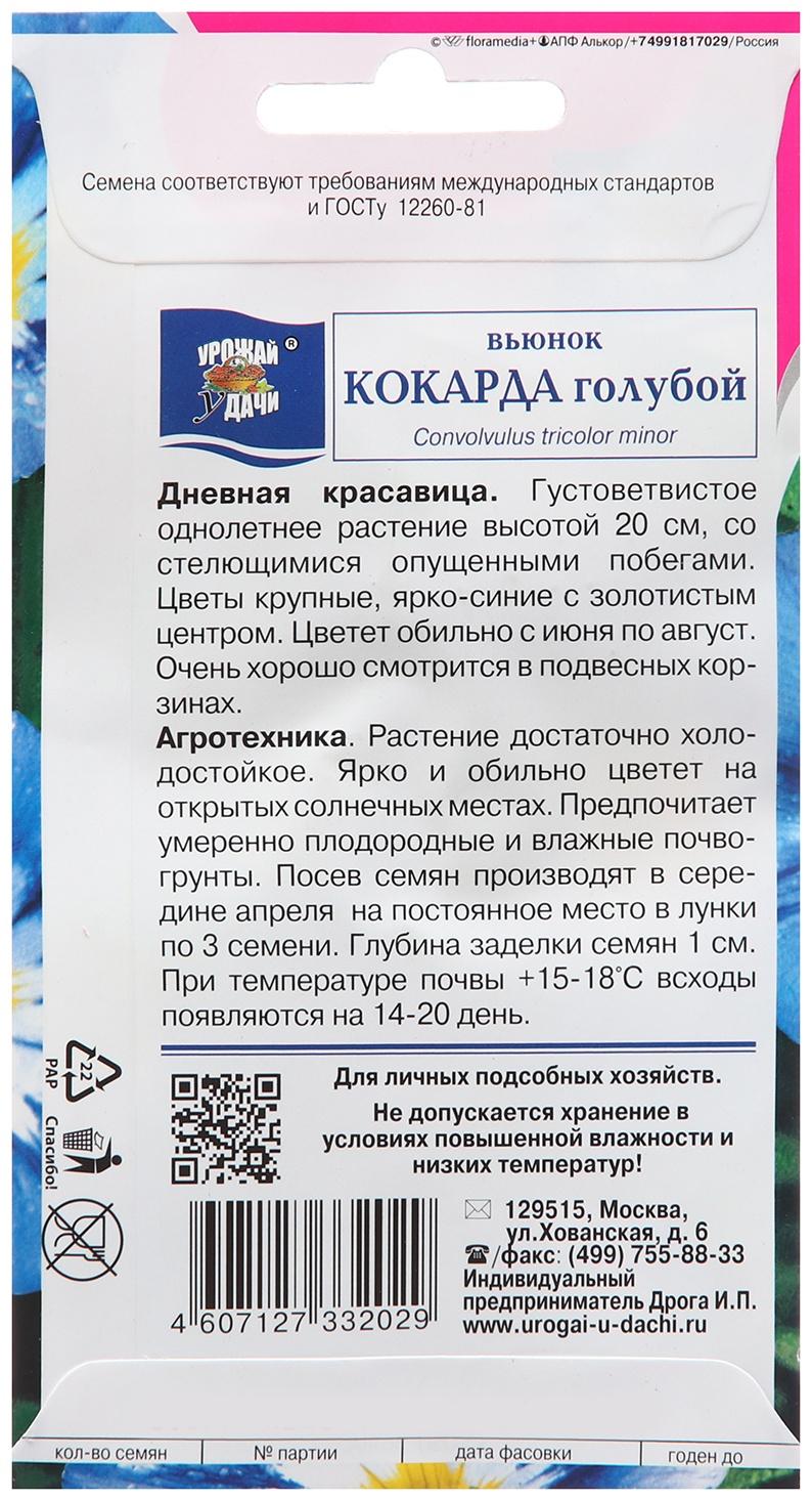 Семена цветов Вьюнок 