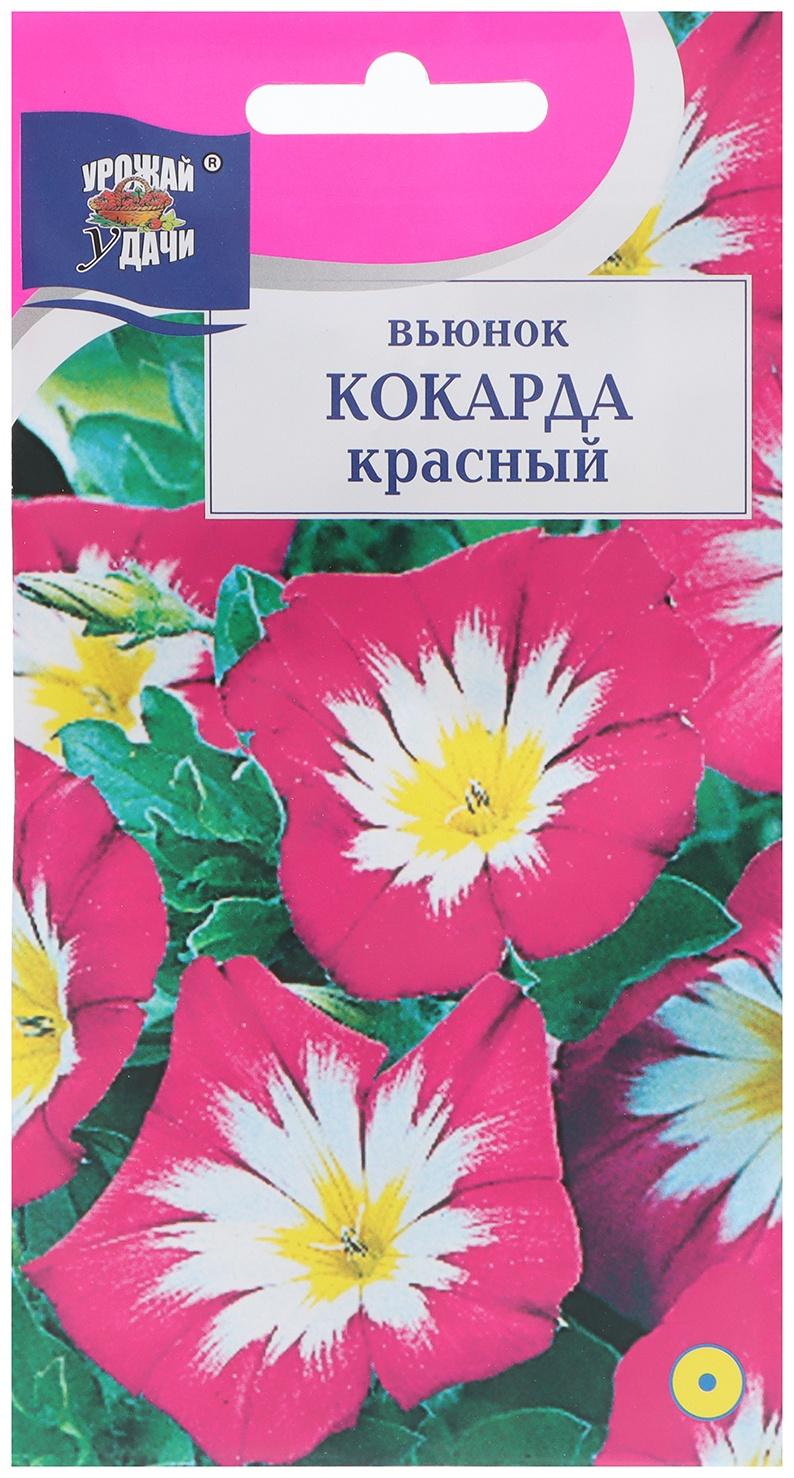 Семена цветов Вьюнок 