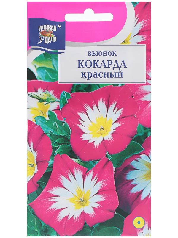 Семена цветов Вьюнок 