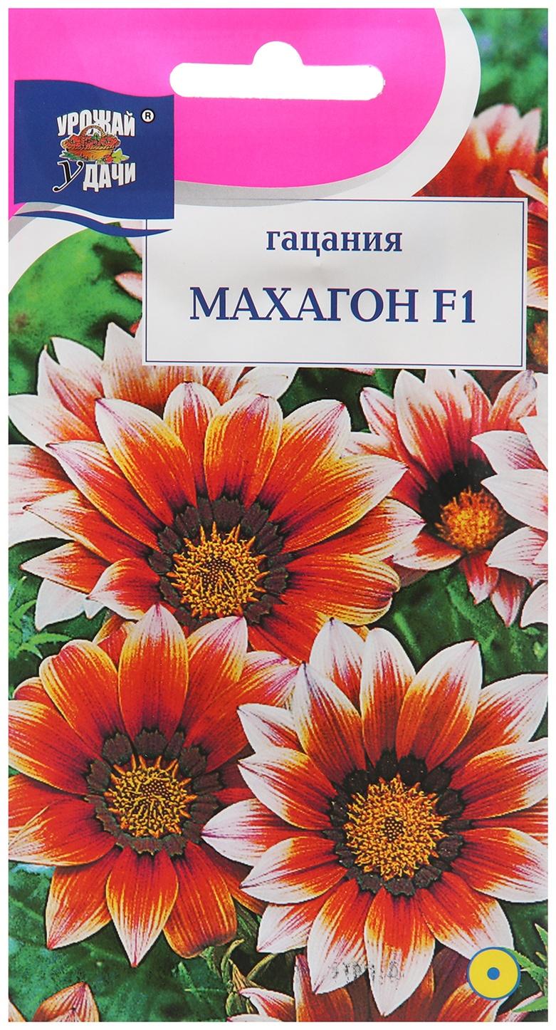 Семена цветов Гацания 