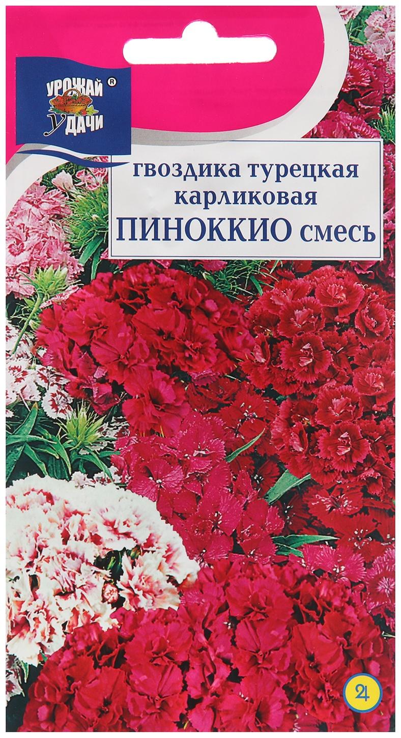 Семена цветов Гвоздика Турецкая 