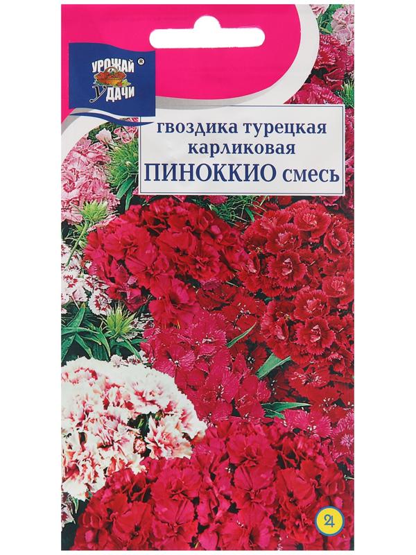 Семена цветов Гвоздика Турецкая 