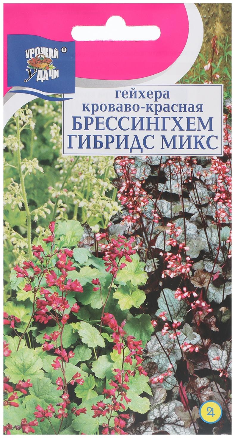 Семена цветов Гейхера 