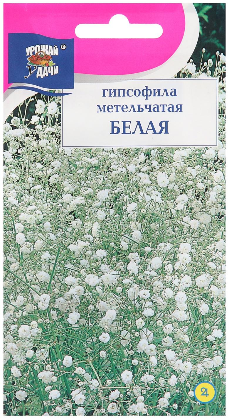 Семена цветов Гипсофила 