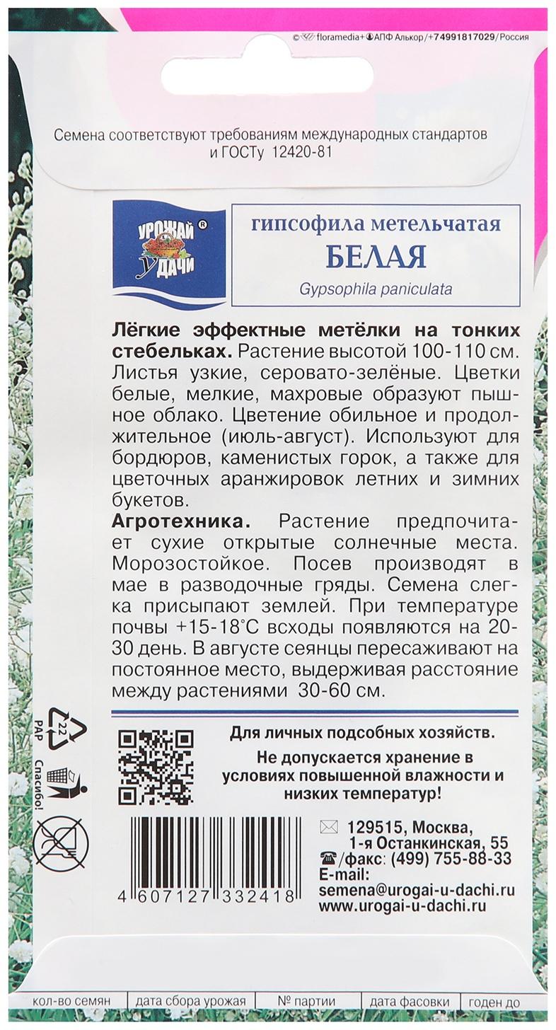 Семена цветов Гипсофила 