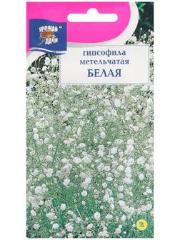 Семена цветов Гипсофила 