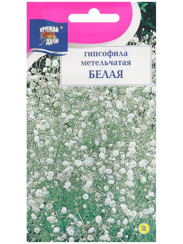 Семена цветов Гипсофила 