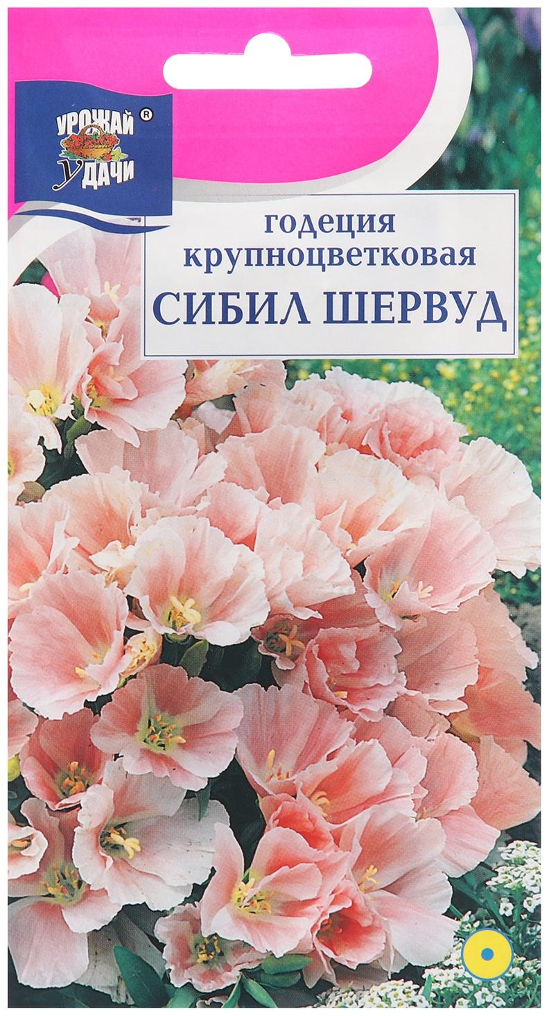 Семена цветов Годеция 