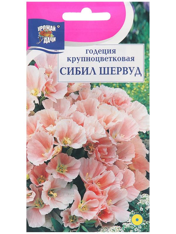 Семена цветов Годеция 