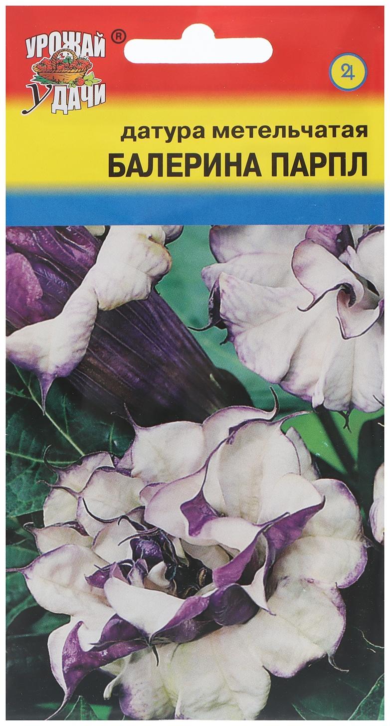 Семена цветов Датура 