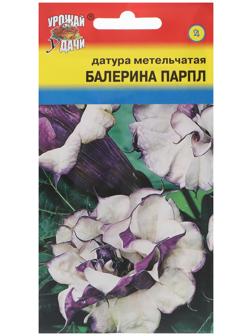 Семена цветов Датура 