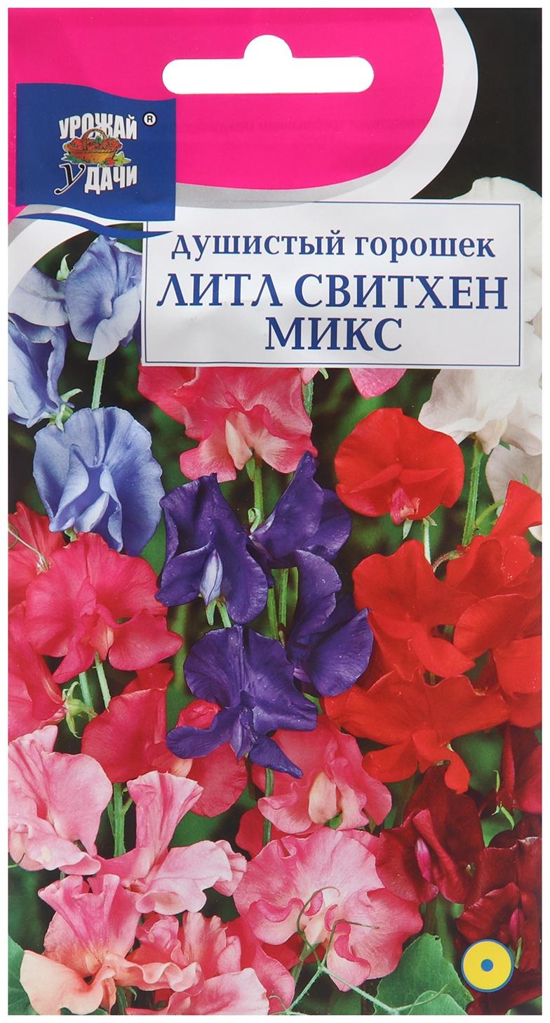 Семена цветов Душистый Горошек 