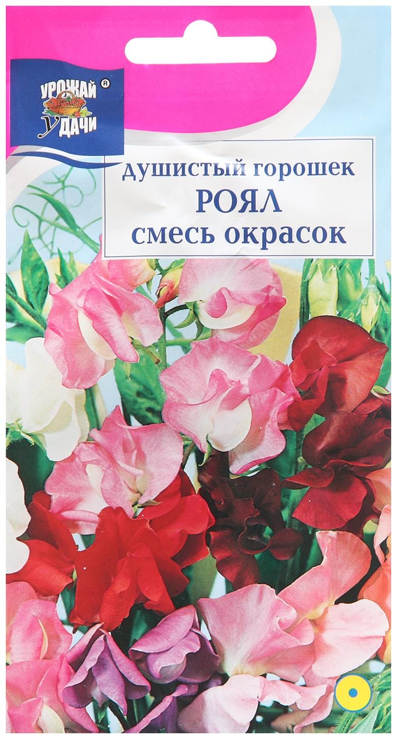 Семена цветов Душистый Горошек 