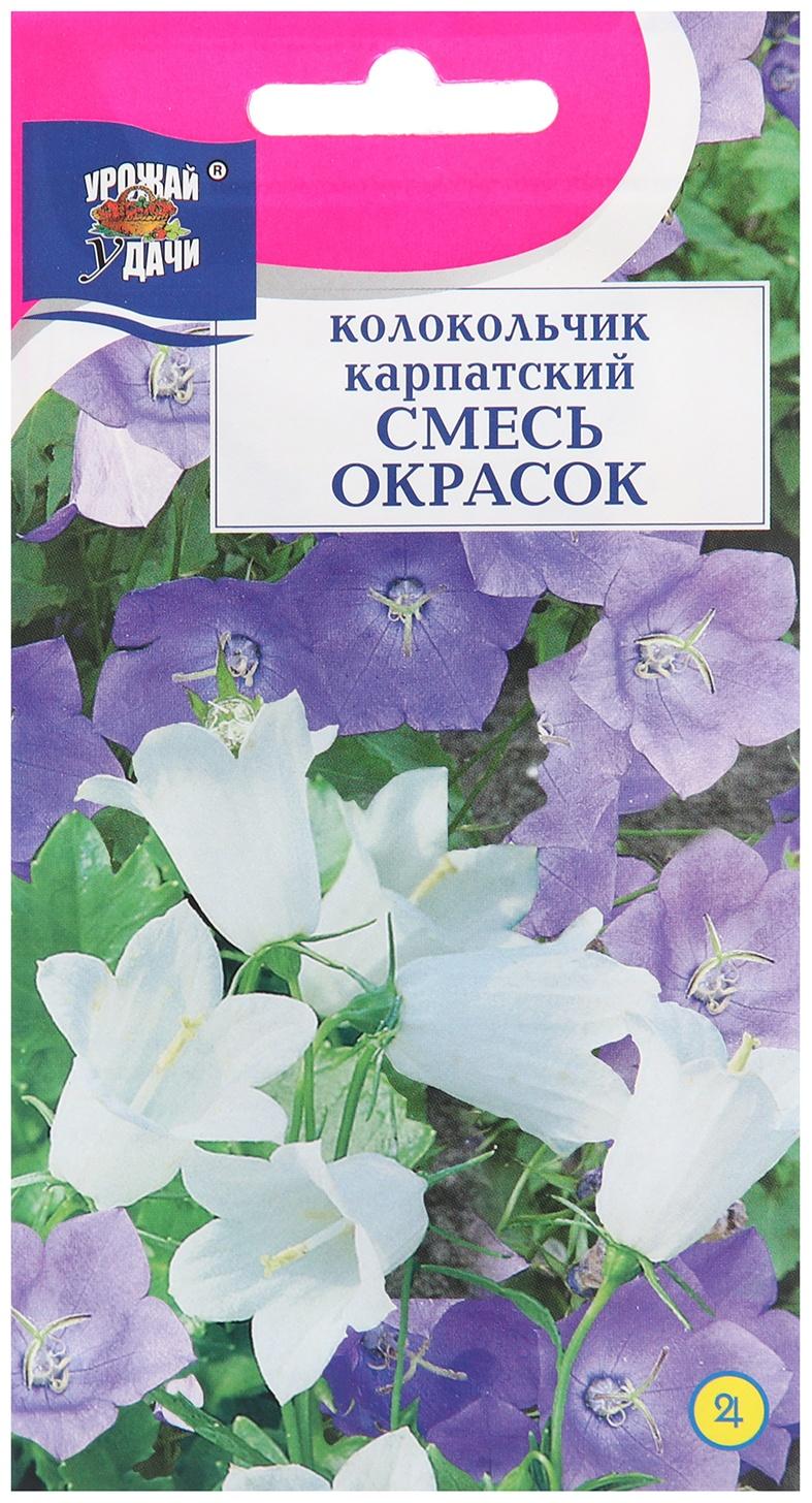 Семена цветов Колокольчик 