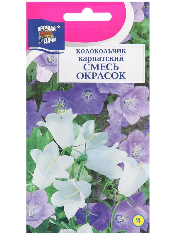 Семена цветов Колокольчик 