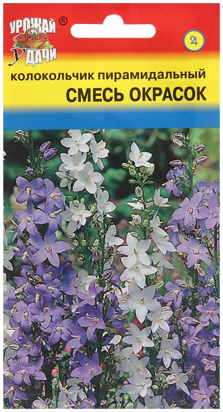 Семена цветов Колокольчик 