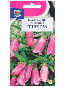 Семена цветов Колокольчик 