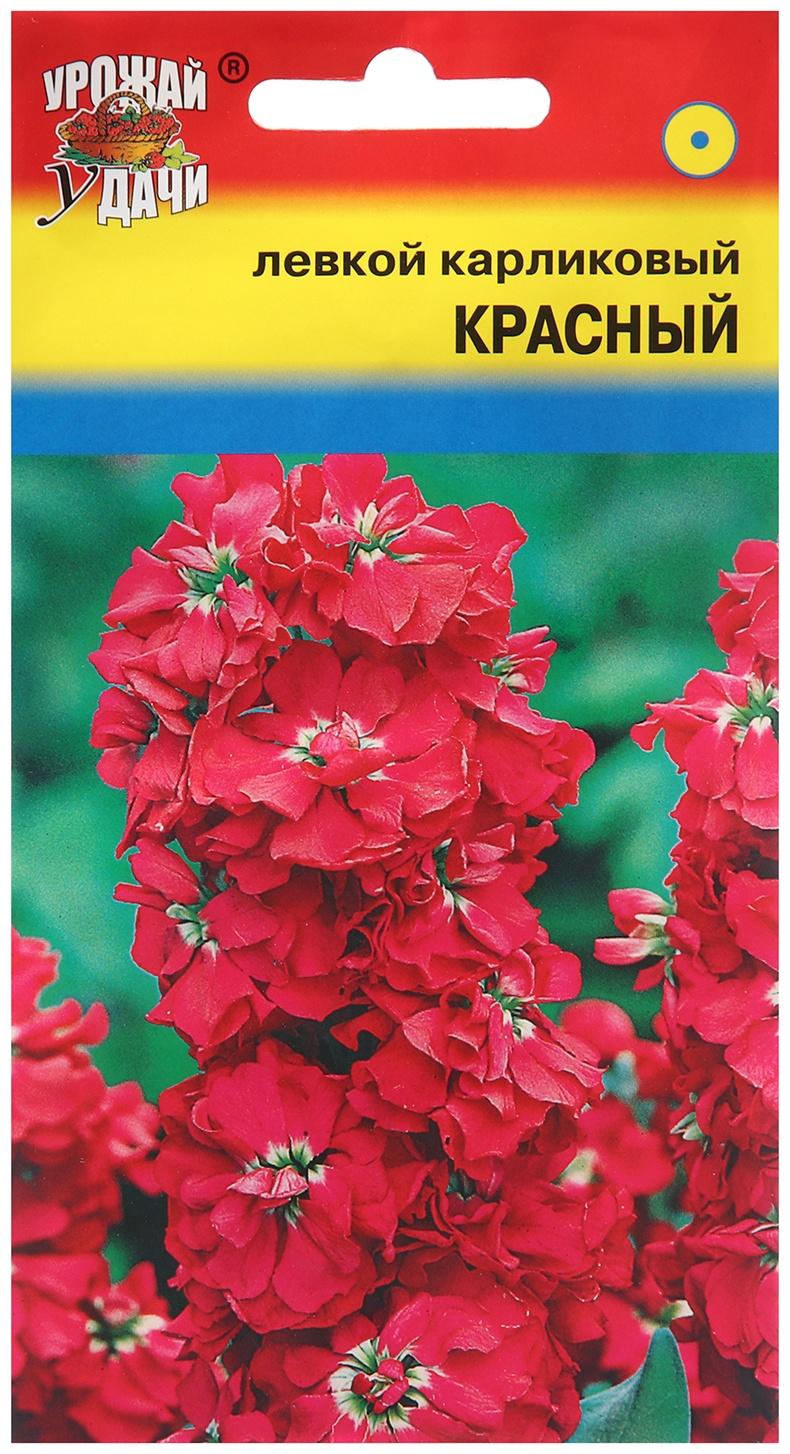 Семена цветов Левкой 