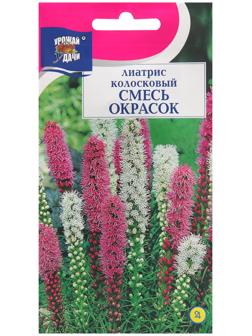 Семена цветов Лиатрис 