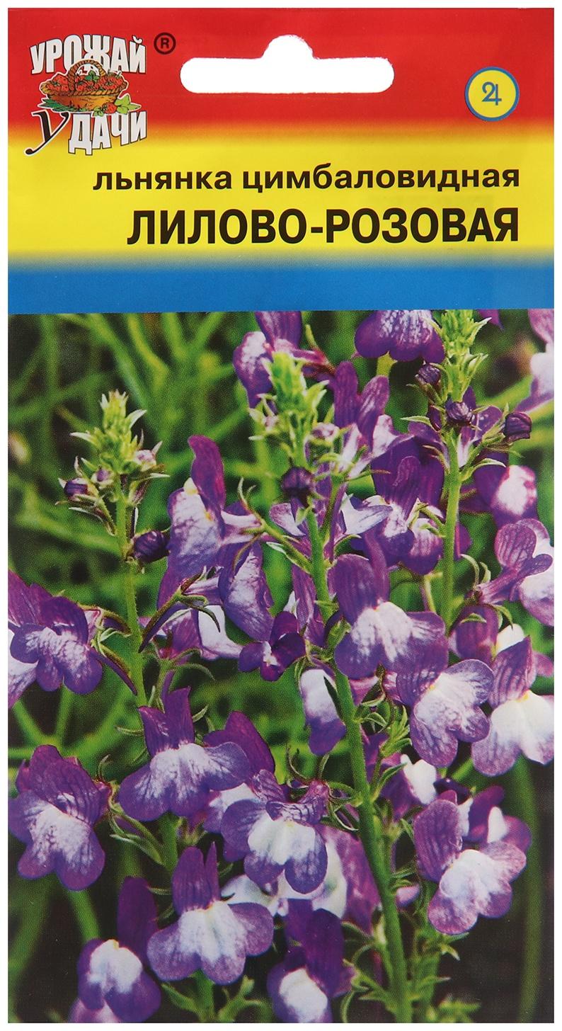 Семена цветов Льнянка, Лилово-розовая, 0,05г