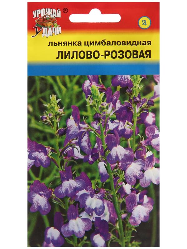 Семена цветов Льнянка, Лилово-розовая, 0,05г