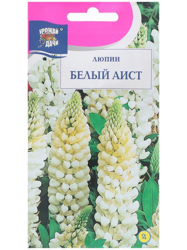 Семена цветов Люпин 