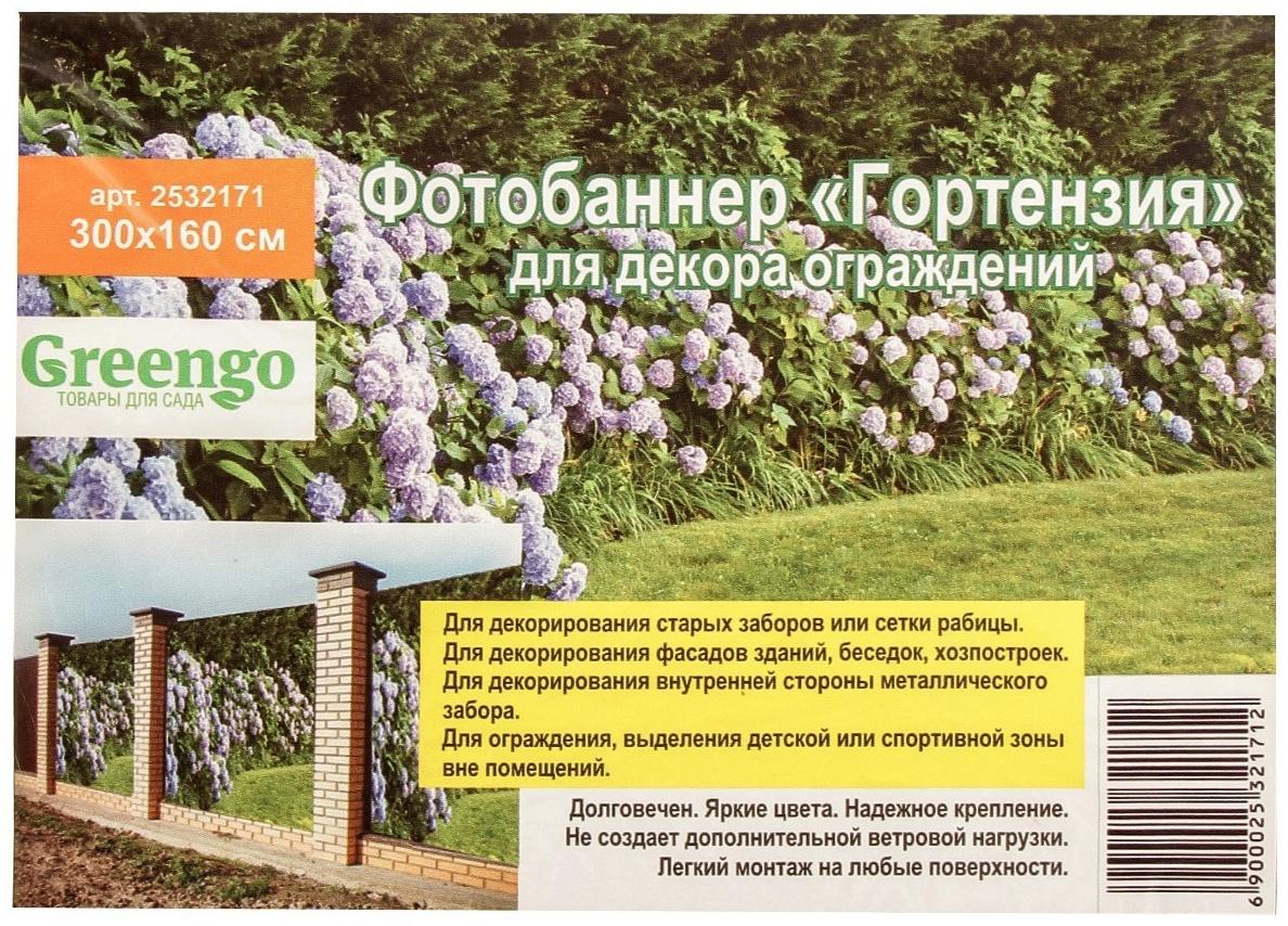 Фотобаннер, 300 × 160 см, с фотопечатью, люверсы шаг 1 м, «Гортензия»