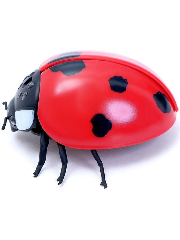 Животное радиоуправляемое «Божья коровка», работает от батареек, свет, в пакете