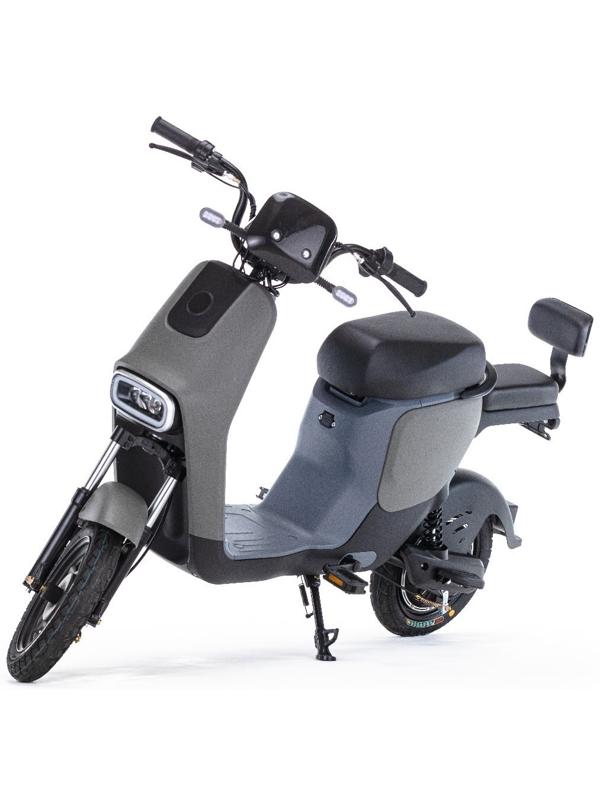 Электроскутер E-NOT PRO 4812, черный-зеленый-серый