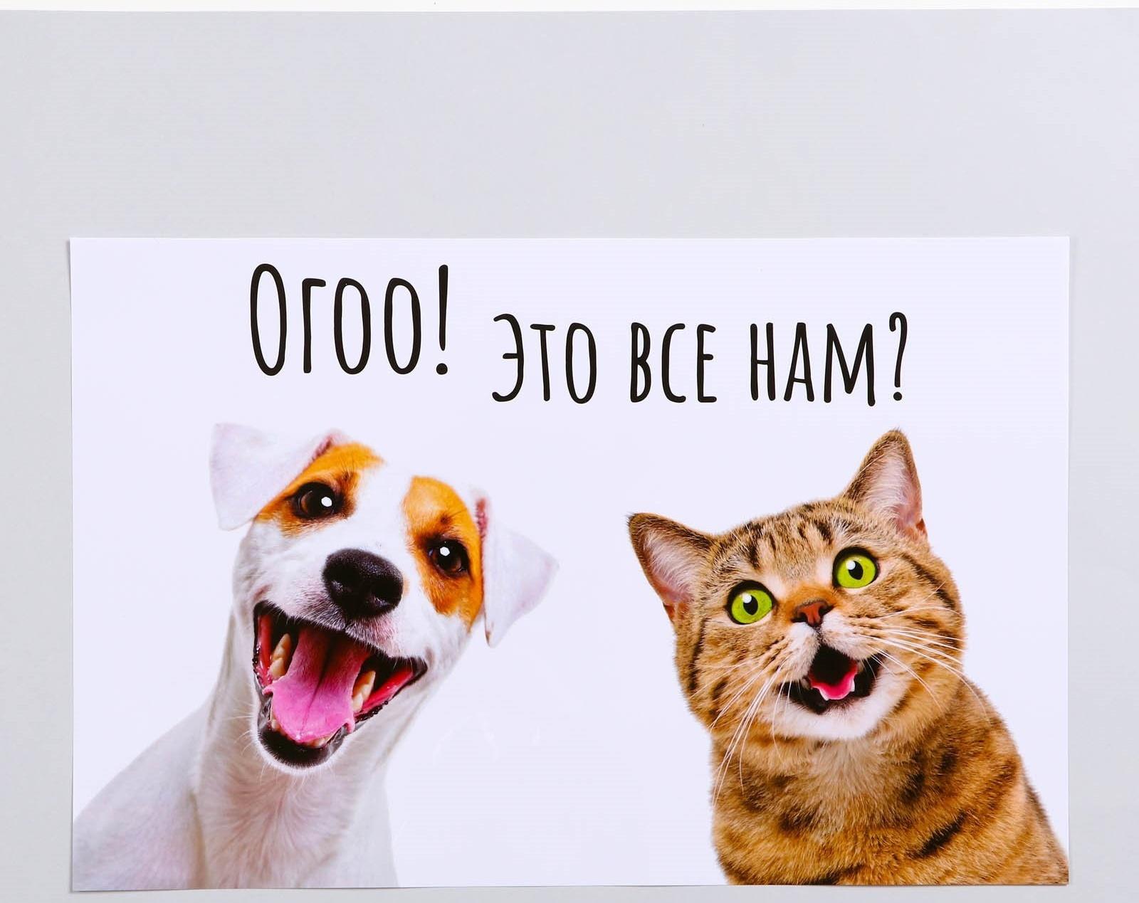 Коврик под миску 