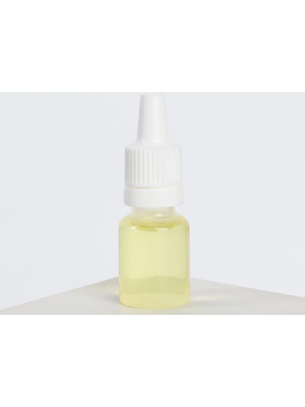 Подвеска в авто с пропиткой и ароматизатором «Медведь», 10 мл, парфюм