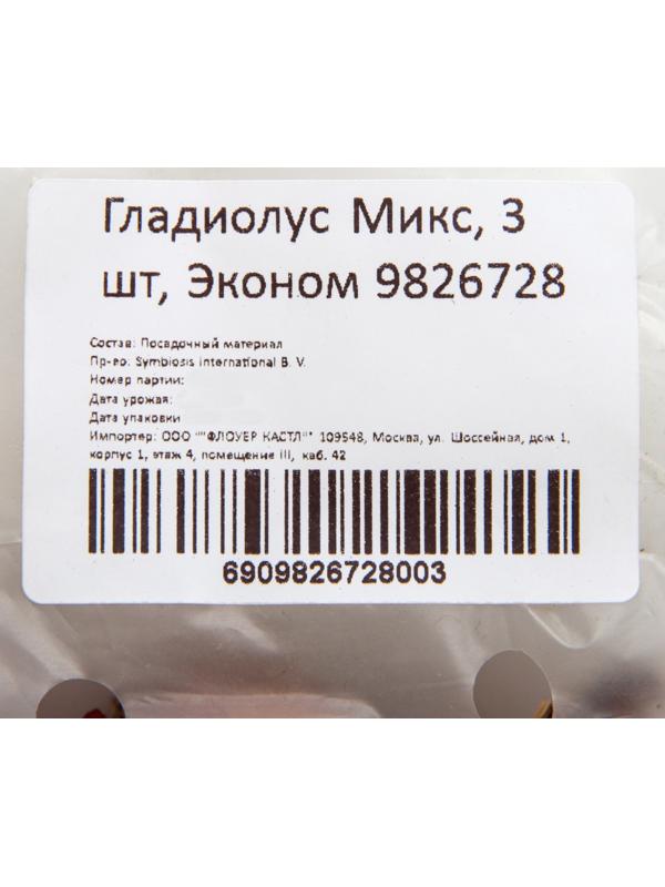Гладиолус Микс, 3 шт, Эконом