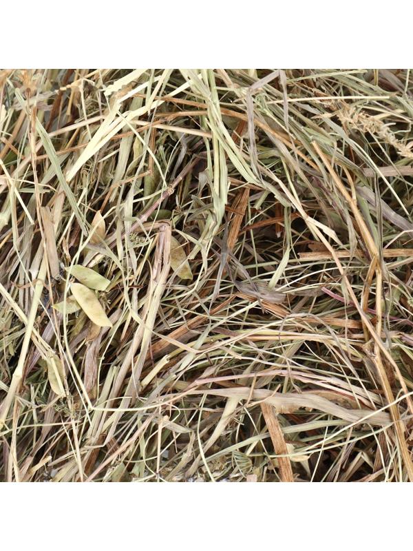 Сено луговое с люцерной «Пижон» для грызунов, 20 л, 500 г